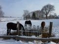 Besuch_Toe_10_01