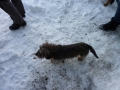 Besuch_Toe_10_09