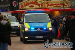Faslamsumzug-2024-41