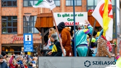 Faslamsumzug2025-847