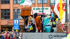Faslamsumzug2025-848