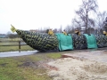 Umzug_09_142