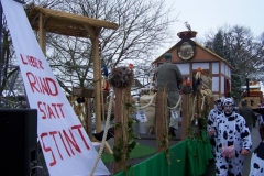 2011-umzug-heiner_105_20111118_1127940976