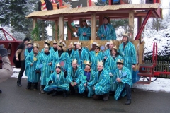 2011-umzug-heiner_110_20111118_1823556330