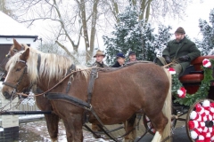 2011-umzug-heiner_12_20111118_1591149080