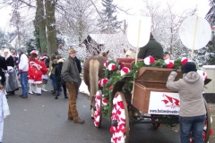 2011-umzug-heiner_19_20111118_1403307189