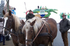 2011-umzug-heiner_21_20111118_1780392437