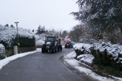 2011-umzug-heiner_32_20111118_1716705628