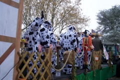 2011-umzug-heiner_33_20111118_1181282966