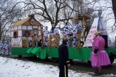 2011-umzug-heiner_39_20111118_1205953492