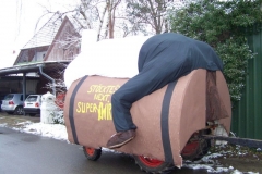 2011-umzug-heiner_4_20111118_2098978658