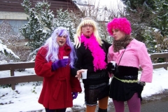 2011-umzug-heiner_50_20111118_2093133289