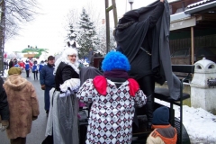 2011-umzug-heiner_5_20111118_1485776013