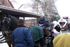 2011-umzug-heiner_6_20111118_1877939919