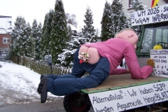 2011-umzug-heiner_77_20111118_1059158828