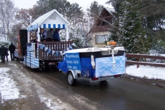 2011-umzug-heiner_87_20111118_1186128640