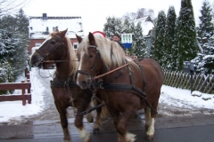 2011-umzug-heiner_88_20111118_1789011699