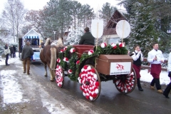 2011-umzug-heiner_90_20111118_1390517801