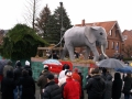 umzug_2012_70_20120223_1284379870