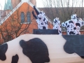 wl_20130217_1023464986