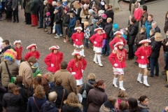 Umzug 2014 (Kofler)